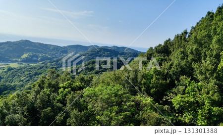 徳島の緑 131301388