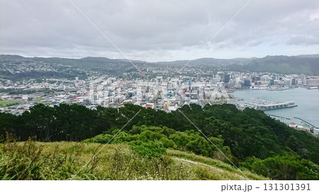 ヴィクトリア山の頂上より 131301391