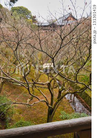 京都 冬の東福寺 臥雲橋から見た洗玉澗(京都市東山区) 京都 冬の東福寺 臥雲橋から見た洗玉澗(京都市東山区) 131301419