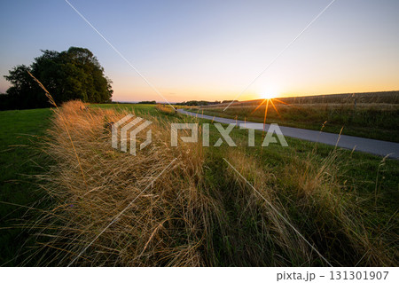 Odenthal, Bergisches Land, North Rhine Westphalia, Germany 131301907