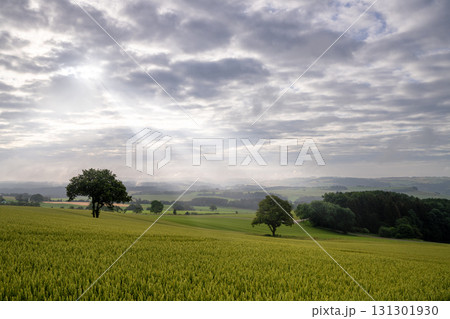 Landscape close to Pruemm, Eifel, Rhineland-Palatinate, Germany Landscape close to Pruemm, Eifel, Rhineland-Palatinate, Germany 131301930