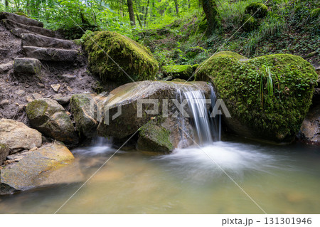 Landscape image with small creek, Eifel, Germany Landscape image with small creek, Eifel, Germany 131301946