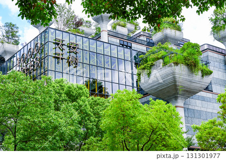 上海・天安千樹（1000trees） 131301977