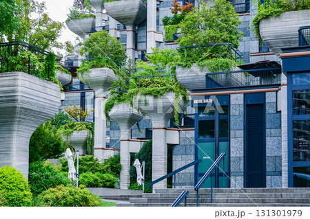 上海・天安千樹（1000trees） 131301979