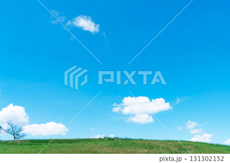 青空と雲と草原 青空と雲と草原 131302152