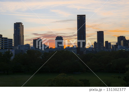 夕陽と緑とビルと夕焼けの風景 夕陽と緑とビルと夕焼けの風景 131302377