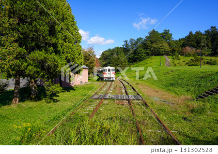 クロフォード公園の初秋 131302528