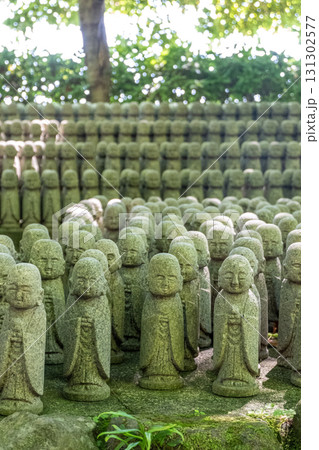 Rows of small stone Buddha statues in outdoor garden temple setting at Kamakura, Kanagawa, Japan 131302577