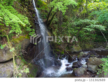 湯河原万葉公園の川の道沿いに見える滝の様子 131302689