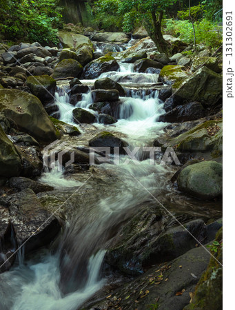 湯河原万葉公園の川に道沿いの渓流の様子 131302691