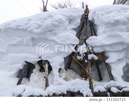 豪雪に埋もれた庭木の冬囲いと分厚い積雪 (新潟県、南魚沼市、石打) 豪雪に埋もれた庭木の冬囲いと分厚い積雪 (新潟県、南魚沼市、石打) 131302725