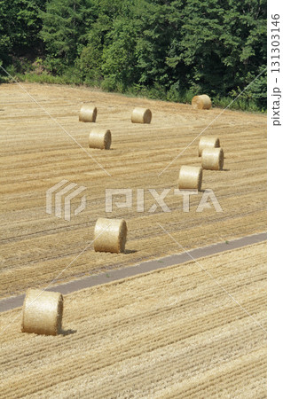 麦わらサイレージ　麦わらロール　麦藁サイレージ 131303146