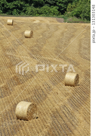 麦わらサイレージ　麦わらロール　麦藁サイレージ 131303148