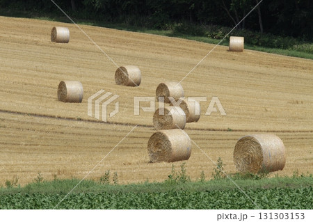 麦わらサイレージ 麦わらロール 麦藁サイレージ 麦わらサイレージ 麦わらロール 麦藁サイレージ 131303153