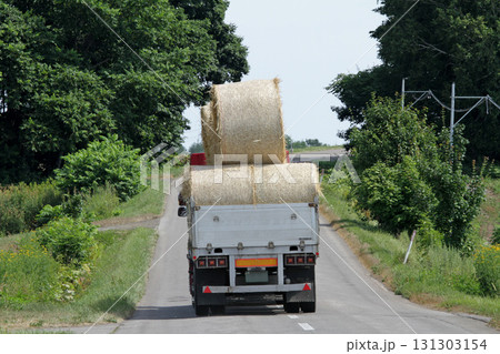 麦わらサイレージの運搬　麦わらロール　麦藁サイレージ 131303154