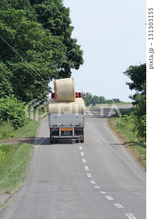 麦わらサイレージの運搬　麦わらロール　麦藁サイレージ 131303155