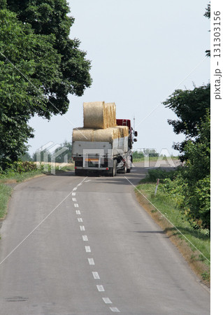 麦わらサイレージの運搬　麦わらロール　麦藁サイレージ 131303156