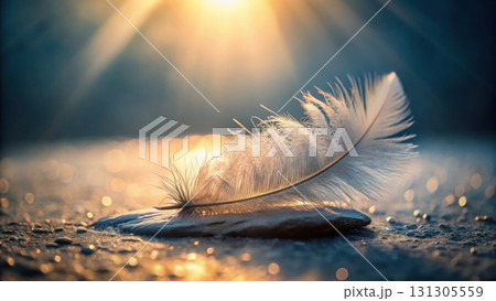 delicate feather resting on textured surface, illuminated by sunlight 131305559