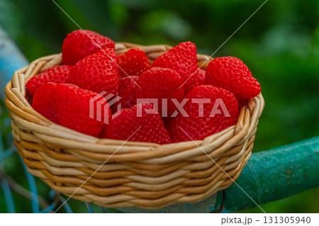 Wicker wooden basket with artificial, ripe red strawberry fruits. Food imitation, harvesting concept, yield, fertility, agricultural fair, hospitality. Wicker wooden basket with artificial, ripe red strawberry fruits. Food imitation, harvesting concept, yield, fertility, agricultural fair, hospitality. 131305940