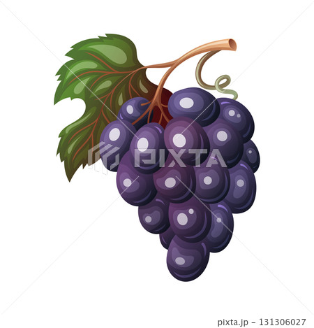 Grapes purple fruit bunch with green leaf in vector cartoon style. Juicy autumn harvest berries in playful design. Great for Thanksgiving card or fall print. Perfect for seasonal holiday artwork. Grapes purple fruit bunch with green leaf in vector cartoon style. Juicy autumn harvest berries in playful design. Great for Thanksgiving card or fall print. Perfect for seasonal holiday artwork. 131306027