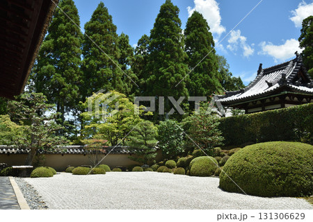 夏の酬恩庵一休寺 方丈南庭(京都府京田辺市) 夏の酬恩庵一休寺 方丈南庭(京都府京田辺市) 131306629