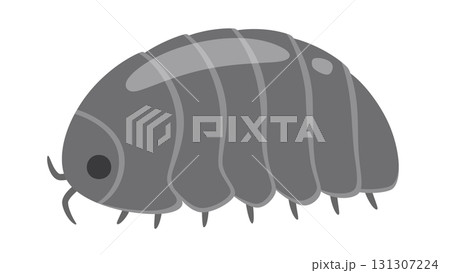 かわいいダンゴムシのイラスト 131307224