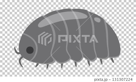 かわいいダンゴムシのイラスト 131307224