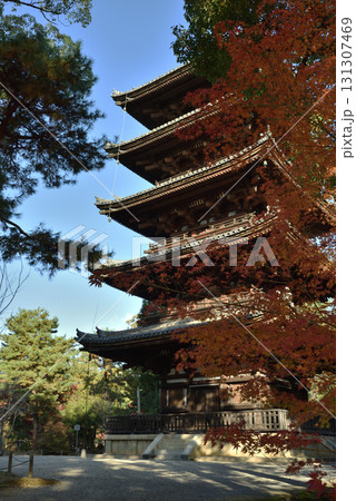 世界遺産　仁和寺　五重塔とモミジ(京都市右京区) 131307469