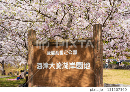 琵琶湖国定公園、日本さくら名所100選、海津大崎湖岸園地 131307560