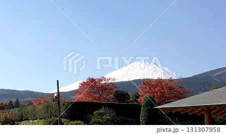 秋の富士山を望む(横) 秋の富士山を望む(横) 131307958