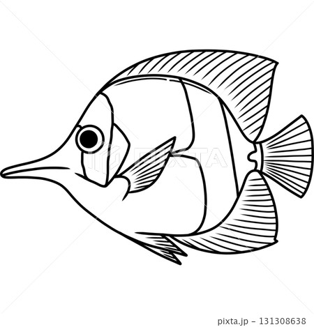 Fish  131308638