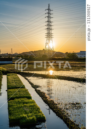 太陽が昇る小牧山城遠望 131308927