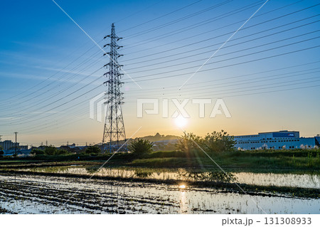 太陽が昇る小牧山城遠望 131308933