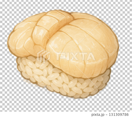 Illustration of scallop nigiri sushi (1 piece) 131309786