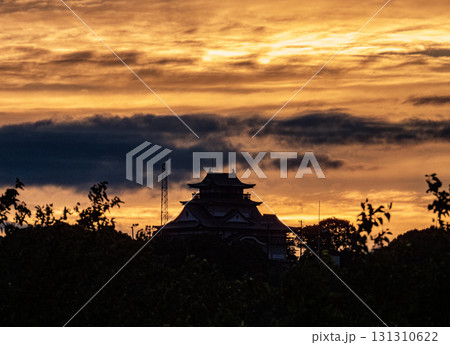 朝の小牧山城の見える景色 131310622