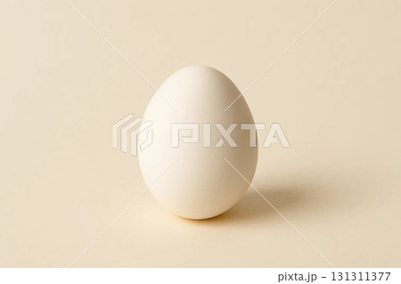 Egg on Light Background 131311377
