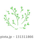 Fresh microgreen leaves. Flat vector illustration. Sprouts arugula, radish, fenugreek, sunflower isolated on white background. Sprouting seeds of a plant. Vitamin supplement, vegan food. 131311866