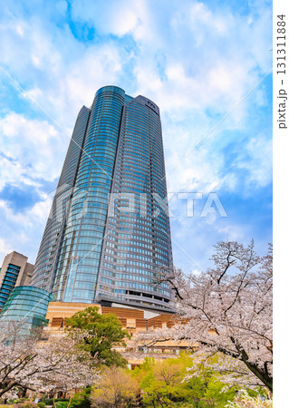 東京 港区 六本木ヒルズの桜 東京 港区 六本木ヒルズの桜 131311884