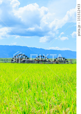 初秋の菱野の三連水車　福岡県朝倉市 131312433