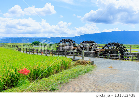 初秋の菱野の三連水車　福岡県朝倉市 131312439