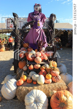 カリフォルニア秋の人気イベント ハロウィンとパンプキン畑 131312457
