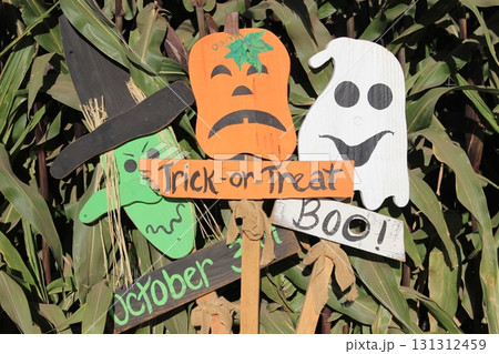 カリフォルニア秋の人気イベント ハロウィンとパンプキン畑 カリフォルニア秋の人気イベント ハロウィンとパンプキン畑 131312459