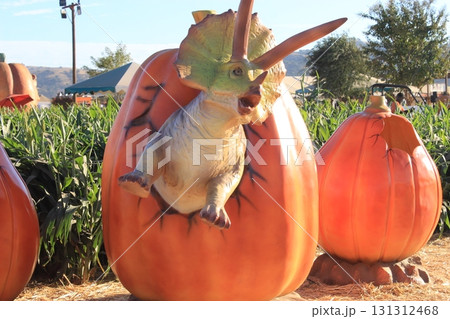 カリフォルニア秋の人気イベント ハロウィンとパンプキン畑 131312468