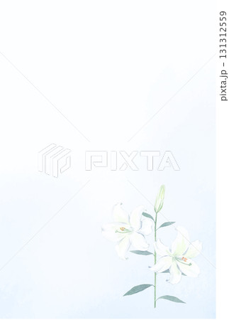 水彩で描く白ユリのはがきテンプレート 131312559