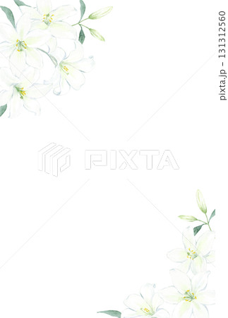 水彩で描く白ユリのはがきテンプレート 水彩で描く白ユリのはがきテンプレート 131312560