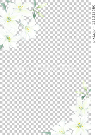 水彩で描く白ユリのはがきテンプレート 水彩で描く白ユリのはがきテンプレート 131312560