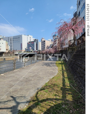 河原に咲いた美しい桜 131312619