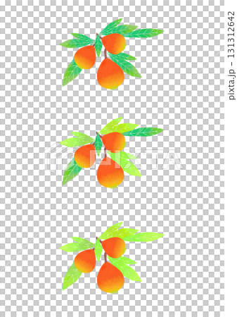 北欧風イラスト びわ 3個 北欧風イラスト びわ 3個 131312642