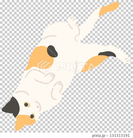 一隻呼嚕呼嚕的貓的插圖 131313191