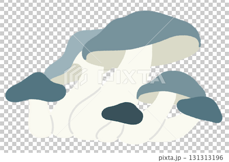 灰色姬菇的插圖 131313196